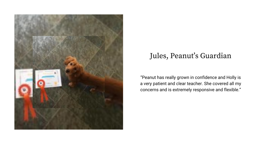 Jules testimonial
