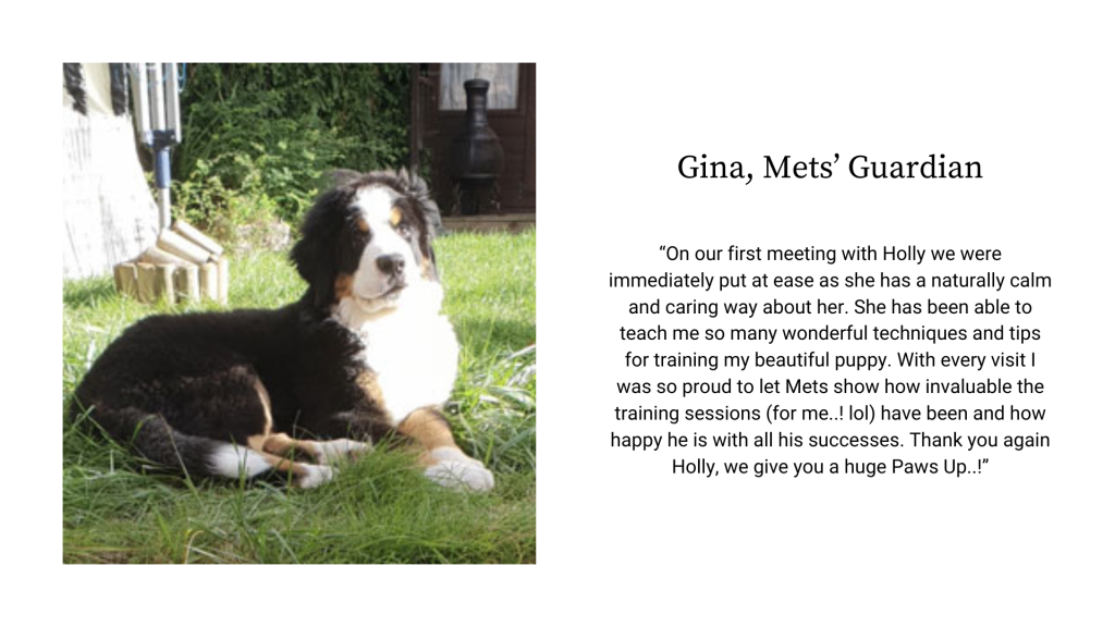 Gina testimonial