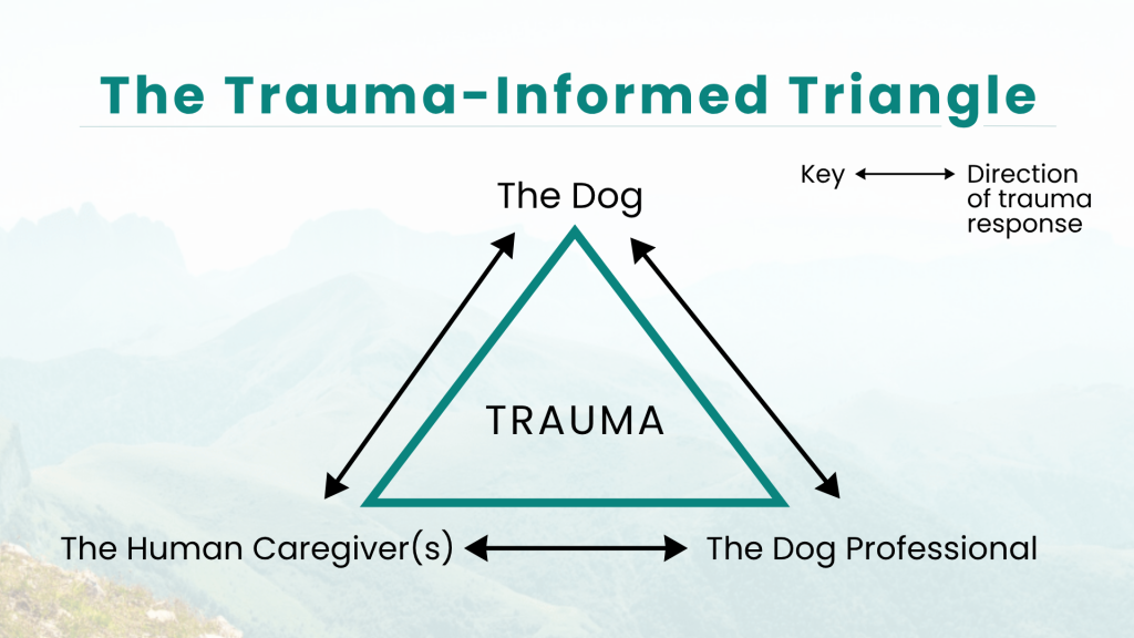 Trauma Informed Triangle