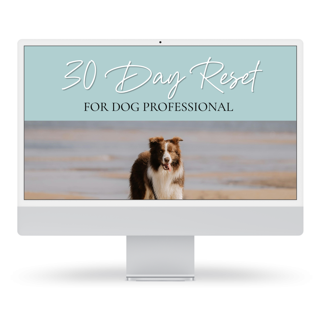 A white desktop computer display showcasing a light teal top banner with white text reading "30 Day Reset FOR DOG PROFESSIONAL". The bottom half of the screen shows a photo of a chocolate brown and white Border Collie standing on a sandy beach.
