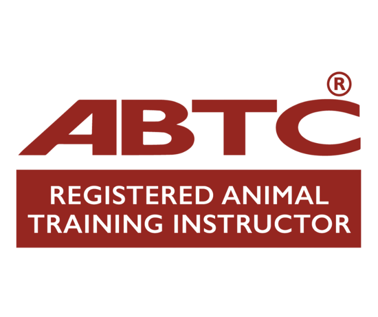 Logo featuring bold, maroon-colored text "ABTC" with a registered trademark symbol above the top right corner. Beneath it, a solid maroon rectangular banner displays the text "REGISTERED ANIMAL TRAINING INSTRUCTOR" in white, uppercase sans-serif font.