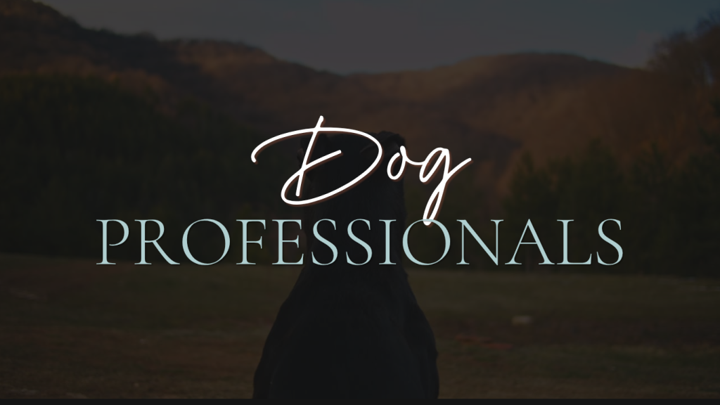 A dark, atmospheric banner showing the back profile or silhouette of a dog looking out toward a grassy field and dark, undulating hills under a moody sky. Overlaying the center is text reading "Dog" in a white script font, directly above the word "PROFESSIONALS" written in large, pale blue serif block letters.